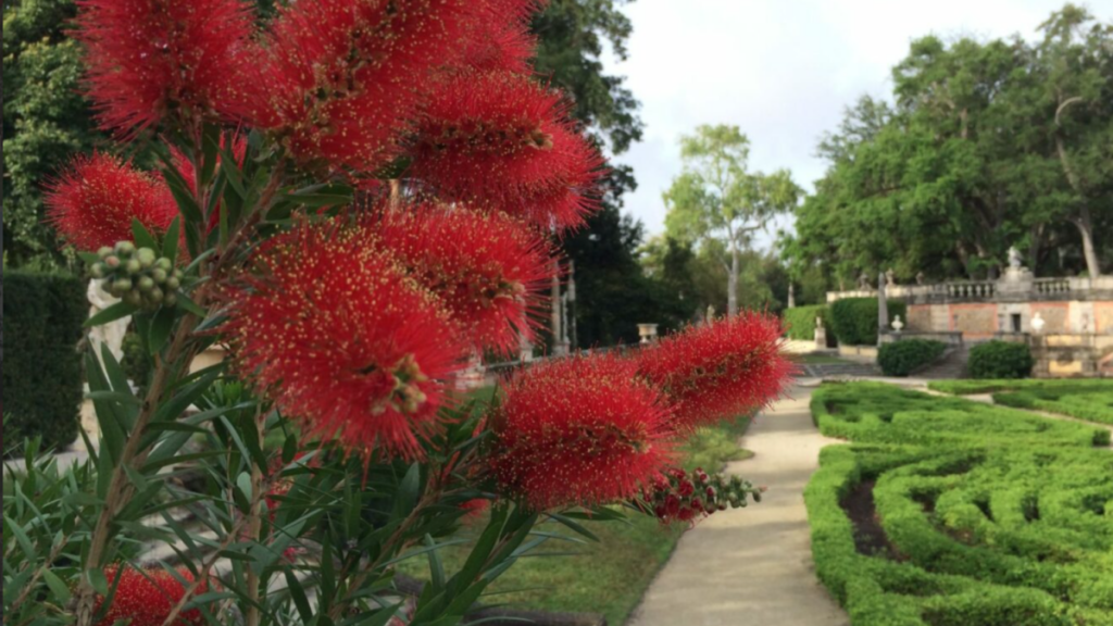 Este es el jardín más hermoso de todo el estado de Florida, según la IA