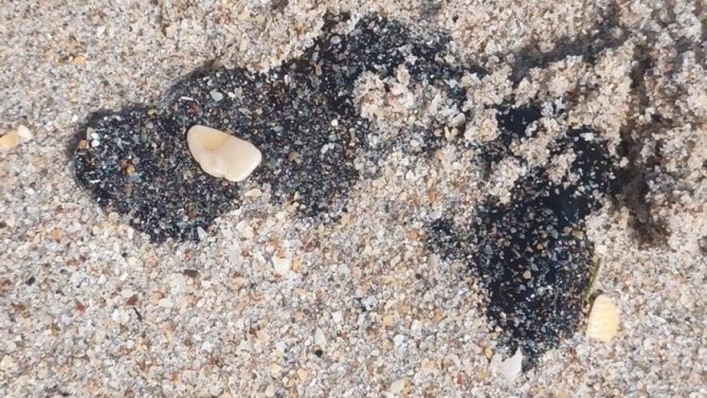 Florida: ¿qué son las bolas negras que aparecieron en playas de Palm Beach y Fort Lauderdale?