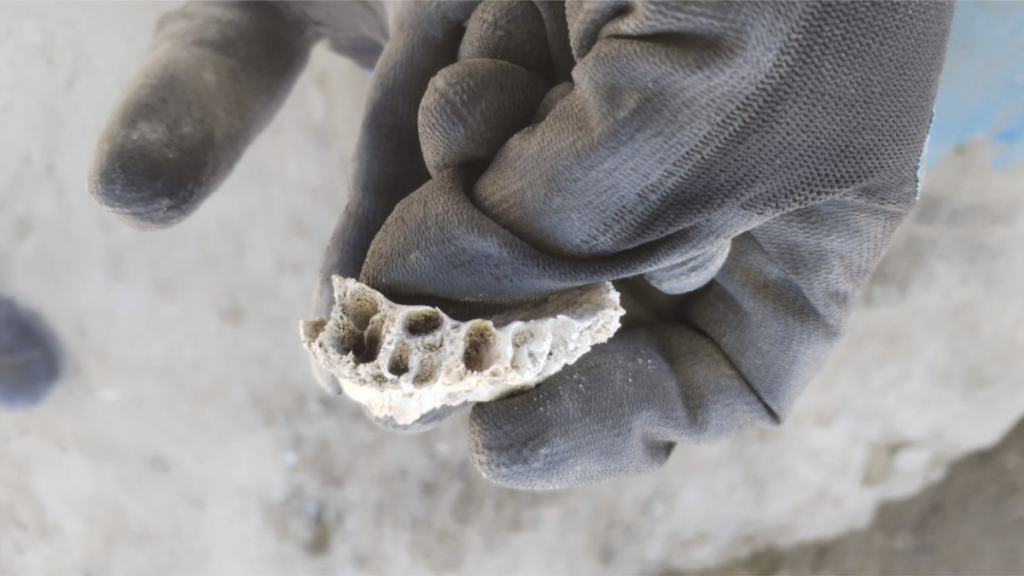 ONU pide «investigaciones exhaustivas», tras descubrimiento de restos humanos en un rancho en México