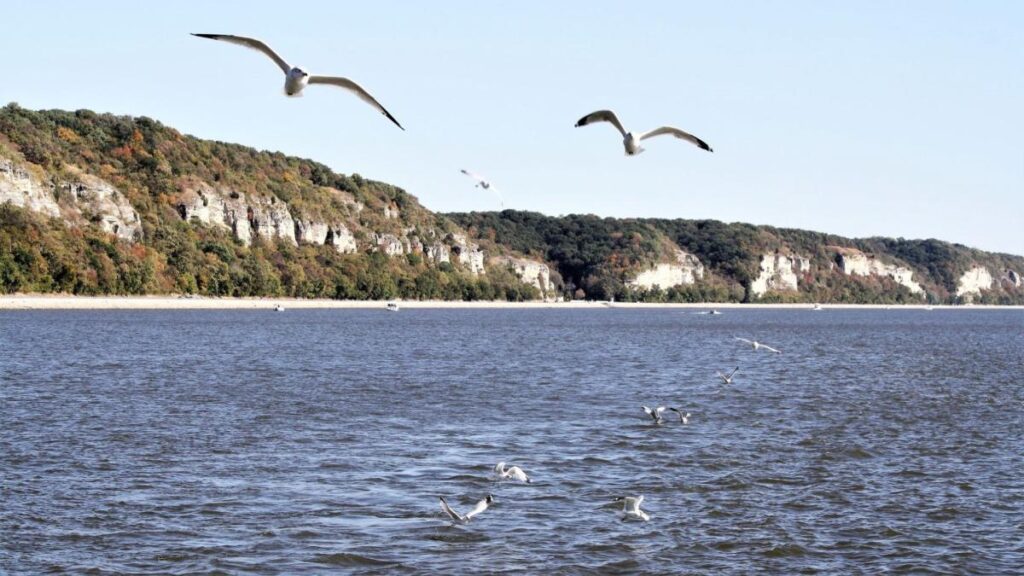 Con menos de mil habitantes, este pueblo pequeño de Illinois es uno de los mejores para visitar