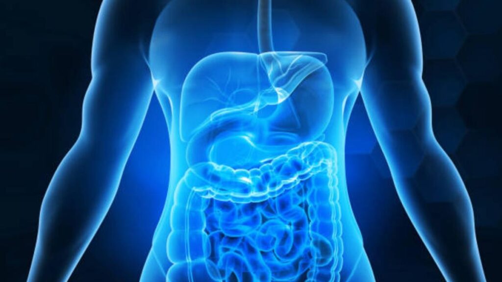 Tomar esto después de comer le ayudaría en la digestión, según Mayo Clinic