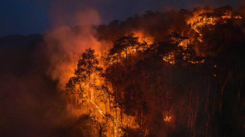 No hay marcha atrás: nueva ley en California traerá cambio en los seguros por incendios forestales